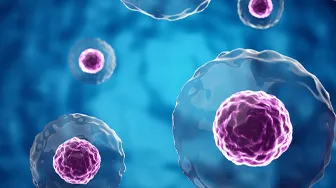 Scaling Cell Therapy Development from Research to Commercialization